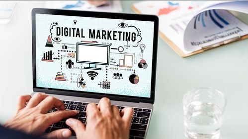 从软件到硬件的职业选择 计算机专业学生的就业倾向分析