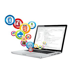 企业电脑素材与计算机软件开发服务 数字化转型的双引擎