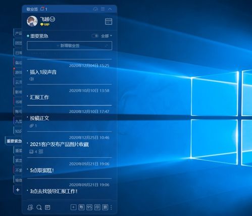 精选推荐 高效电脑桌面便签小工具下载与优质软件开发服务指南